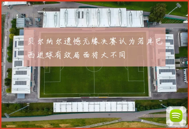 贝尔纳尔遗憾无缘决赛认为若库巴西进球有效局面将大不同