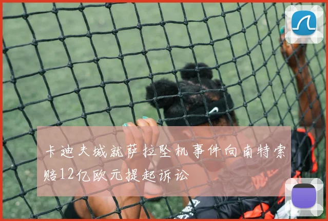 卡迪夫城就萨拉坠机事件向南特索赔12亿欧元提起诉讼