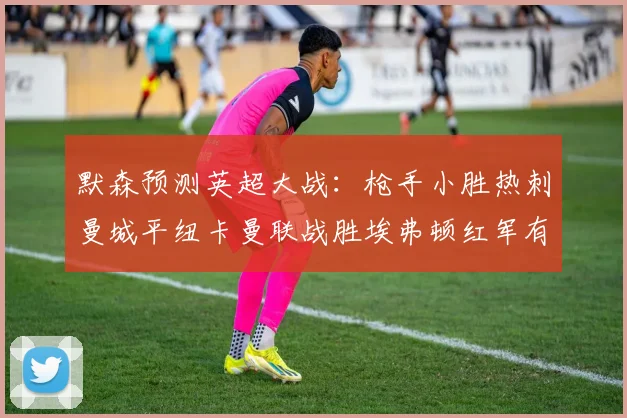 默森预测英超大战：枪手小胜热刺曼城平纽卡曼联战胜埃弗顿红军有望取胜