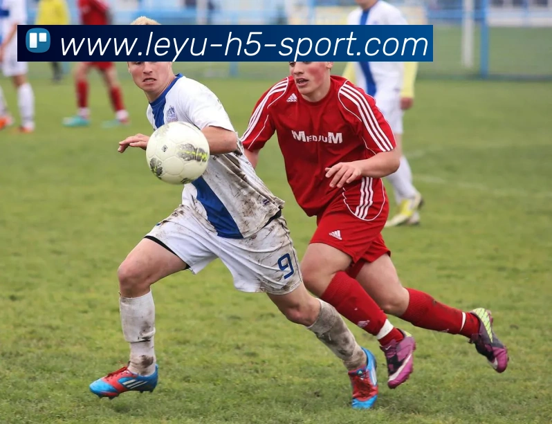 乐鱼体育APP 封面图